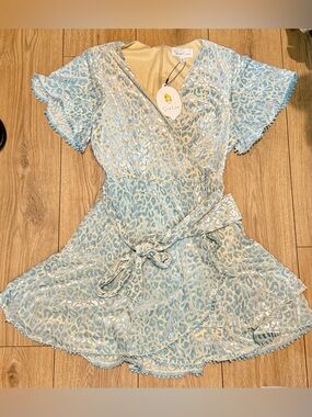 The Sweet Lemon Velour Cheetah Dress